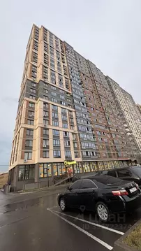 Студия Воронежская область, Воронеж ул. Независимости, 78к1 (17.4 м)