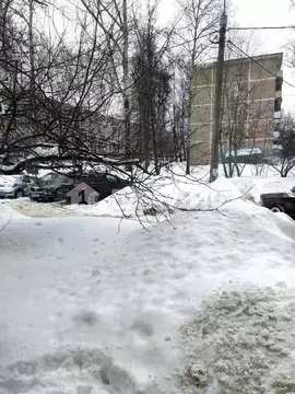 1-к кв. Московская область, Электросталь Южный просп., 15к1 (31.0 м)