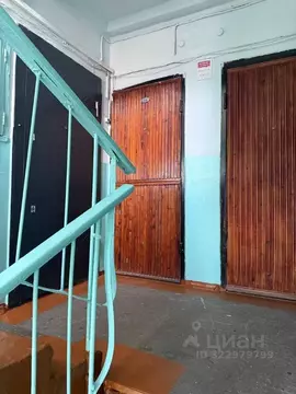 Свободной планировки кв. Бурятия, Улан-Удэ ул. Рылеева, 37 (52.8 м)