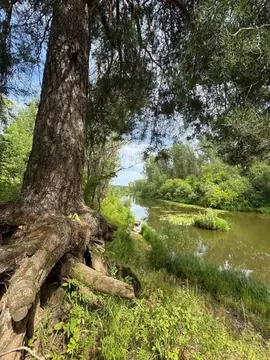 Участок в Кировская область, Котельничский район, Морозовское с/пос, ...