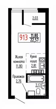 Студия Свердловская область, Екатеринбург ул. Лыжников, 3 (22.8 м)
