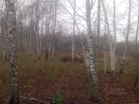 Участок в Московская область, Талдом  (14.56 сот.)