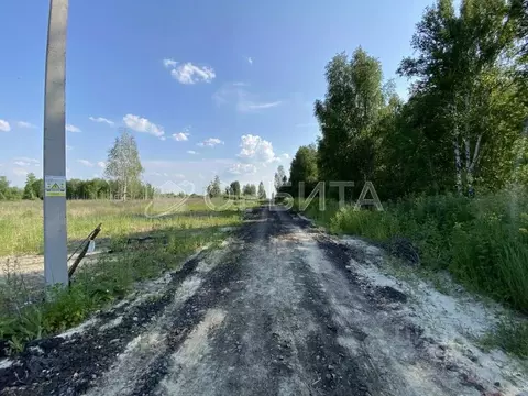 Участок в Тюменская область, Нижнетавдинский муниципальный округ, ...