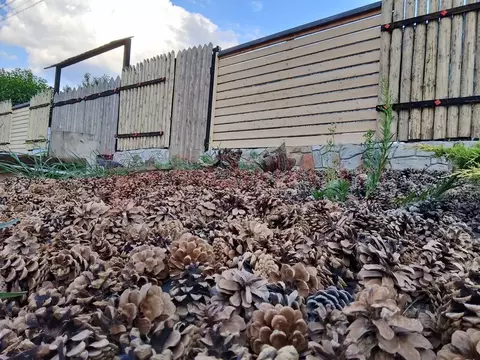 Участок в Ростовская область, Аксайский район, Большелогское с/пос, ...