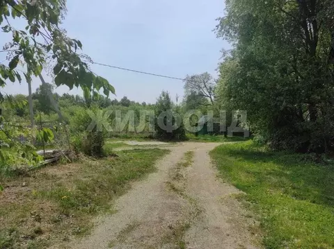Участок в Амурская область, Благовещенск пос. Зазейский,  (20.0 сот.)