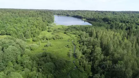 Участок в Новгородская область, Валдайский район, Рощинское с/пос, д. ...