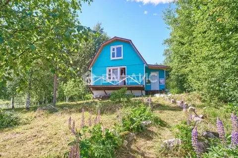 Дом в Карелия, Пряжинский район, Ведлозерское с/пос, д. Савиново  (50 ...