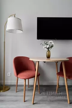 Студия Санкт-Петербург просп. Обуховской обороны, 36 (24.7 м)