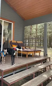 Дом в Московская область, Раменский муниципальный округ, д. Фенино, ...