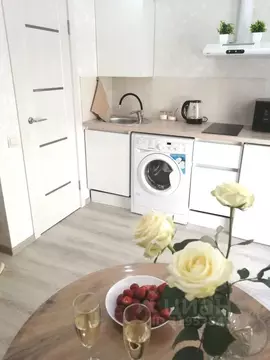 Студия Краснодарский край, Анапа Алексеевка мкр, ул. Садовая, 49 (18.0 ...