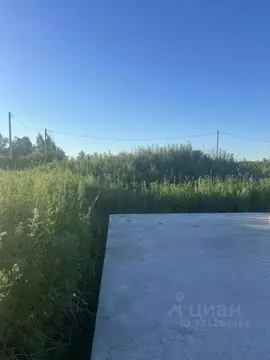 Участок в Томская область, Томский район, Поселок Зональная ст., ...