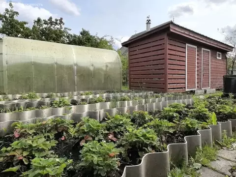 Дом в Форносовское городское поселение, СНТ Надежда, 453 (17 м)