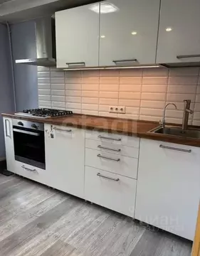 1-к кв. Санкт-Петербург просп. Энергетиков, 35к1 (31.0 м)