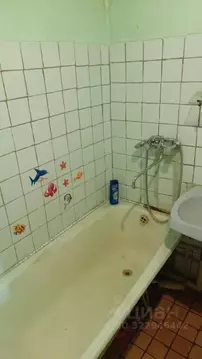 1-к кв. Новосибирская область, Новосибирск Березовая ул., 1 (32.0 м)