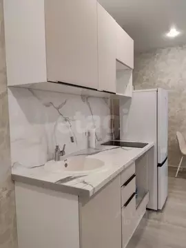 Студия Новосибирская область, Новосибирск Гурьевская ул., 177/1 (28.4 ...