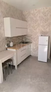 Студия Амурская область, Благовещенск ул. Островского, 110 (24.5 м)