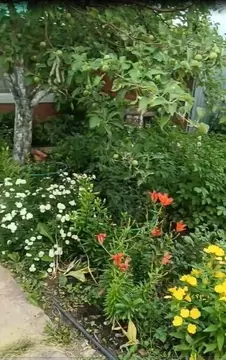 Дом в Самарская область, Ставропольский район, Подстепки с/пос, Лада ...