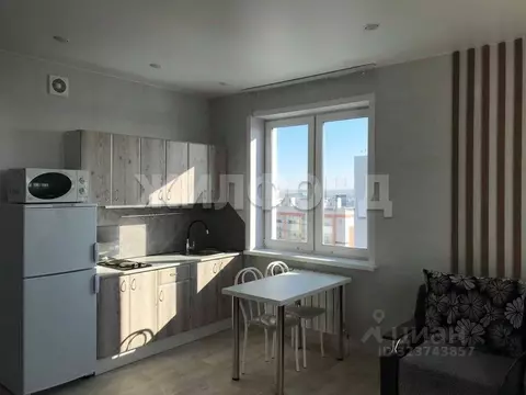 Студия Новосибирская область, Новосибирск ул. 25 лет Октября, 14/3 ...