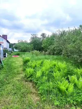 Участок в Костромская область, Кострома Заря Коммунизма садоводческое ...