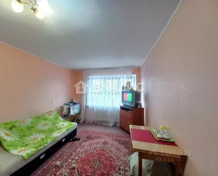 Комната Калининградская область, Калининград Серпуховская ул., 35 ...