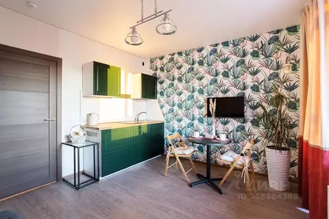 Студия Воронежская область, Воронеж ул. Загоровского, 1 (24.0 м)