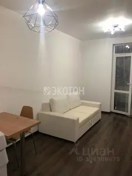 Студия Санкт-Петербург просп. Ветеранов, 175к4 (25.0 м)