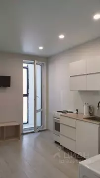 Студия Московская область, Подольск городской округ, д. Борисовка ул. ...