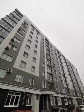 1-к кв. Воронежская область, Воронеж Беговая ул., 217 (39.1 м)