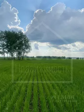 Участок в Омская область, Тюкалинск ул. Ленина (106800.0 сот.)