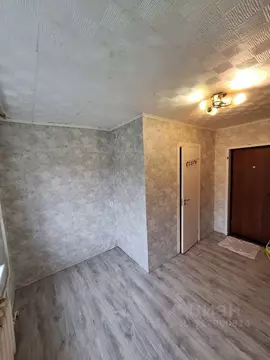 Студия Новгородская область, Великий Новгород ул. Щусева, 8к1 (13.0 м)