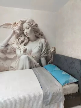 Студия Московская область, Ногинск Богородский городской округ, ул. ...