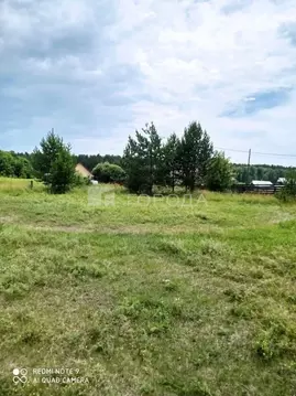 Участок в Алтайский край, Калманский район, с. Зимари Боровая ул., 2 ...