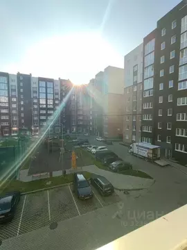 3-к кв. Калининградская область, Калининград бул. Борисовский, 17 ...