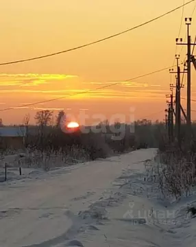 Участок в Новосибирская область, Колыванский район, Север ТСН 180 (9.9 ...