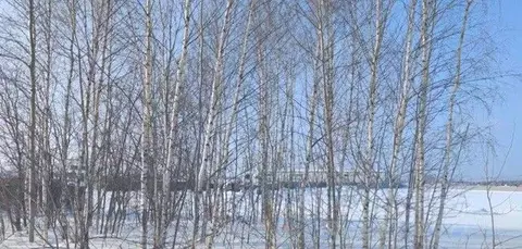 Участок в Московская область, Щелково городской округ, д. Назимиха  ...