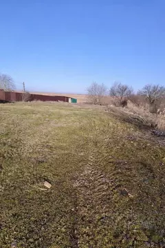 Участок в Ростовская область, Азовский район, Кулешовское с/пос, ...