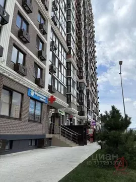 Помещение свободного назначения в Краснодарский край, Новороссийск ул. ...