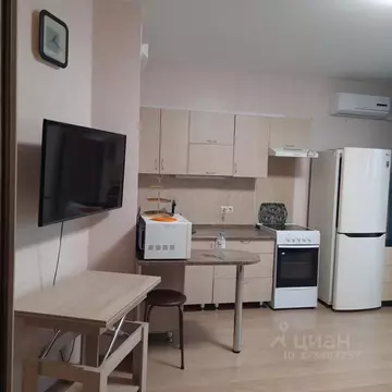 Студия Челябинская область, Челябинск ул. Петра Сумина, 26 (24.5 м)