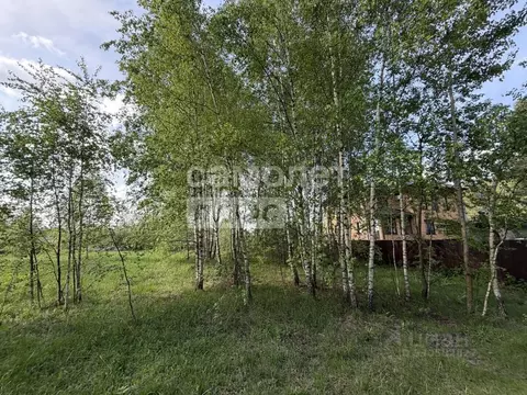 Участок в Московская область, Орехово-Зуевский городской округ, д. ...