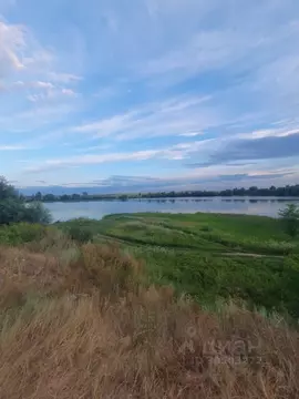 Участок в Курская область, Курский район, пос. Камыши  (47.0 сот.)