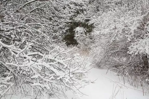 Участок в Московская область, Одинцовский городской округ, д. Жуковка, ...