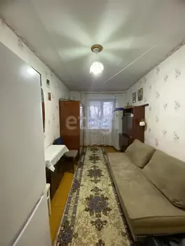 Квартира, 2 комнаты, 43 м