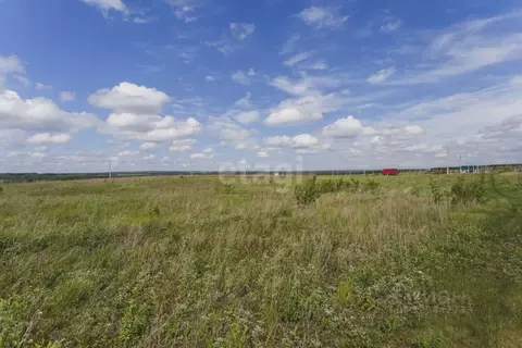 Участок в Башкортостан, Чишминский район, Лесной сельсовет, с. ...