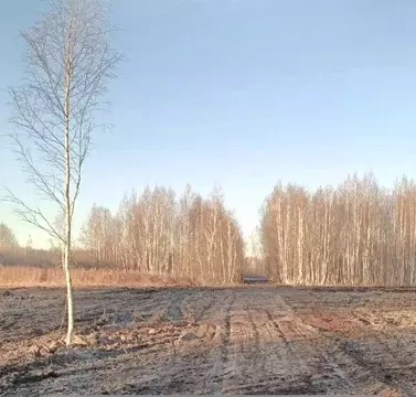 Участок в Тюменская область, Нижнетавдинский муниципальный округ, ...