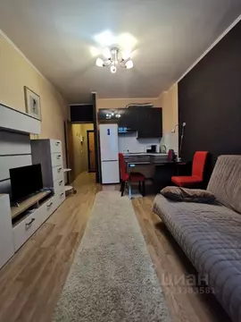 Студия Санкт-Петербург ул. Адмирала Трибуца, 7 (24.0 м)