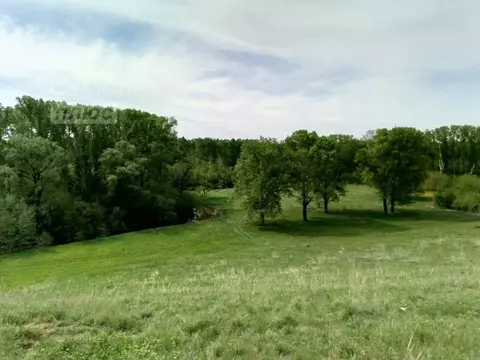 Участок в Башкортостан, Чишминский поссовет, Чишмы рп ул. Горького ...