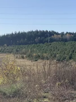 Участок в Калужская область, Ферзиковский район, Авчурино с/пос, д. ...