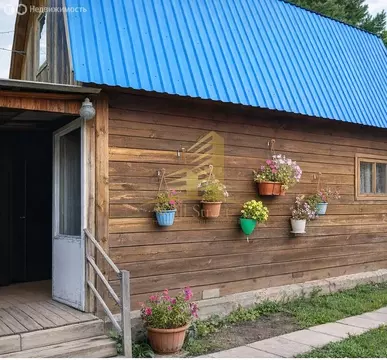 Дом в Новосибирск, СНТ Кедр, 196 (43 м)