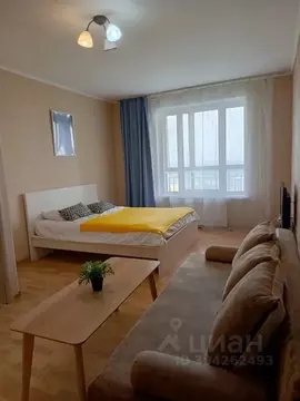 1-к кв. Башкортостан, Уфа ул. Энтузиастов, 16 (45.0 м)