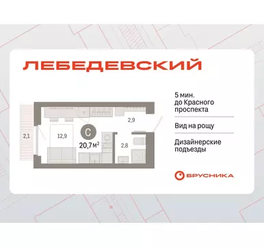 Квартира-студия: Новосибирск, квартал Лебедевский, 1/3 (20.7 м)